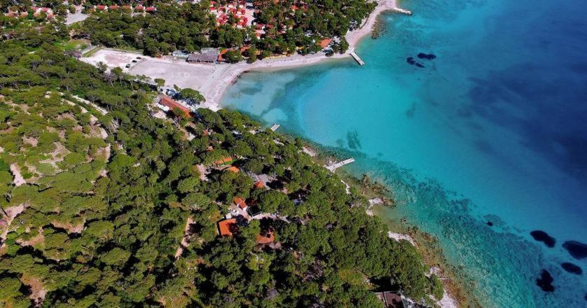 Biograd Mobile Home Oasis Biograd Na Moru Eksteriør billede